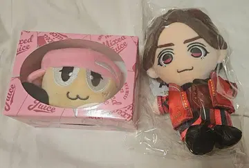 코타키 노조무 치비 누이 세트
