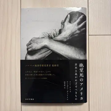 절망사의 미국: 자본주의가 지향해야 할 것