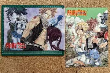 페어리 테일 클리어 파일 2장