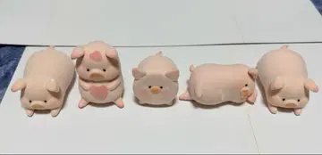 아기돼지 LULU LuLu 돼지 5점 세트