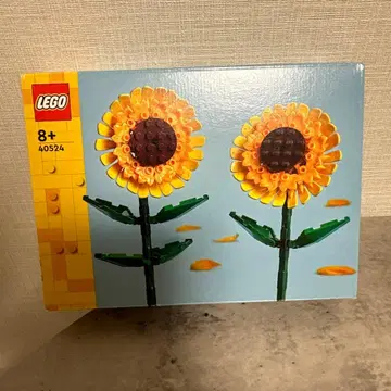 LEGO 40524 해바라기