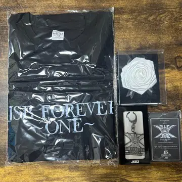 삼대째 2025 JSB FOREVER ONE 업그레이드 굿즈
