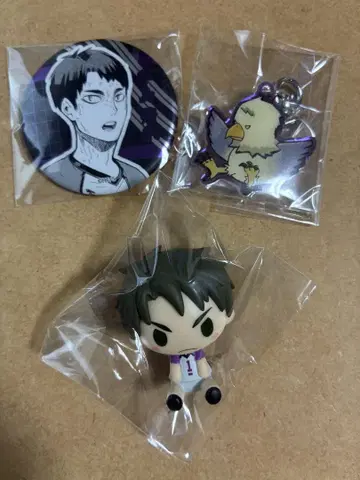 하이큐 우시지마 와카토시 세트