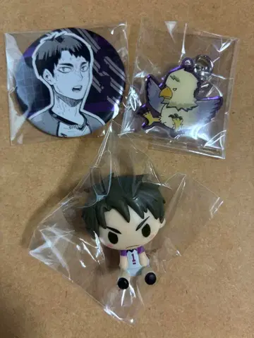 하이큐 우시지마 와카토시 세트