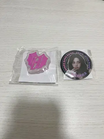 aespa KARINA 부채 액세서리 캔뱃지