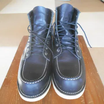 레드윙 아이리쉬 세터 25.5cm