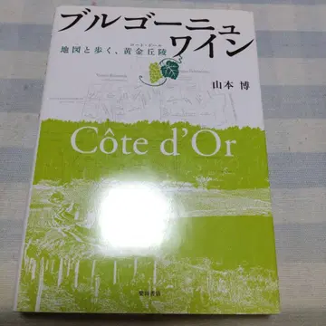 부르고뉴 와인 : 지도로 걷는, 황금 언덕