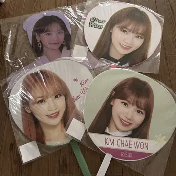 채원 부채 세트