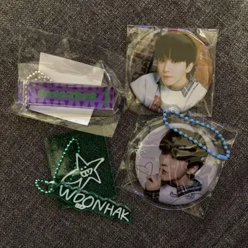 BOYNEXTDOOR WOONHAK 배지와 아크릴 키링 세트