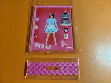 사카카와 히카 AKB48 도쿄 다이마루 인형 박스 랜덤 아크릴 스탠드