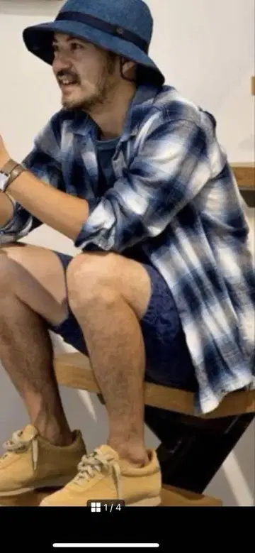 nonnative vendor things OMBRE CHECK