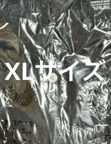 THE ALFEE 2025 가을 투어 굿즈 저지 XL