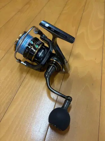 DAIWA 칼디아 SW 6000D-H