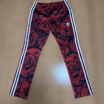 adidas 여성용 트랙 팬츠 로즈 패턴 카모 패턴