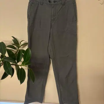 마가렛호웰 치노 팬츠