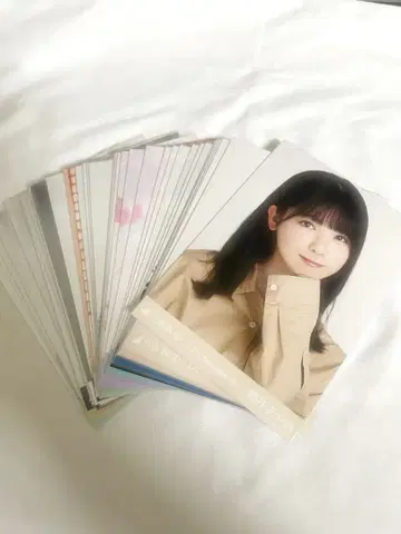 츠츠이 아야메 브로마이드 묶음 판매