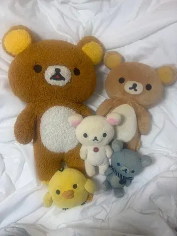 리락쿠마 봉제 인형 6체 세트