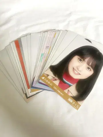 엔도 사쿠라 브로마이드 묶음 판매