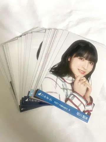 하야카와 세이라 브로마이드 묶음 판매