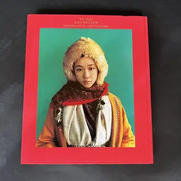 댄들라이언