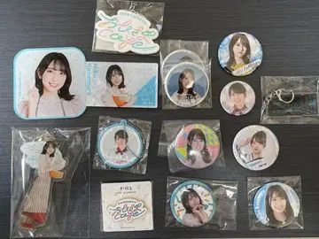 히나타자카46 카네무라 미쿠 캔 배지 아크릴 키링 세트