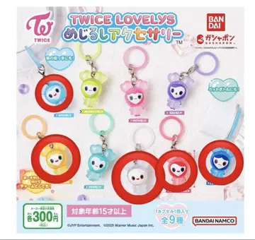 TWICE 메지루시 액세서리