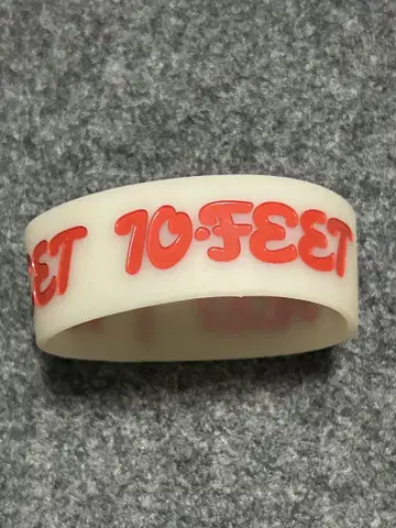 10-FEET 러버 밴드 비바라 2016