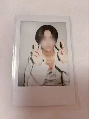 러브시크 사쿠라 폴라로이드