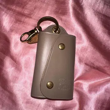 일비종떼 키케이스