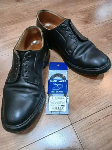 트리커스 로버트 블랙 신발끈(새상품) 포함