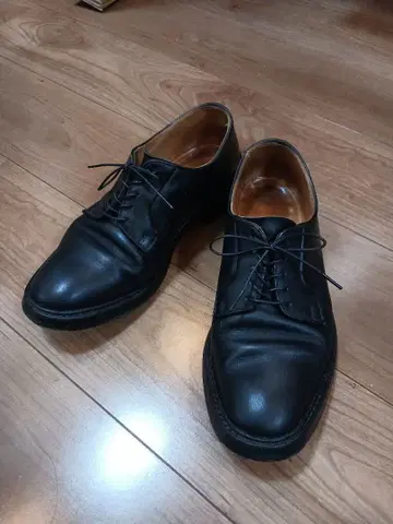 트리커스 로버트 블랙