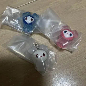 TWICE 메지루시 액세서리 모모 다현 쯔위