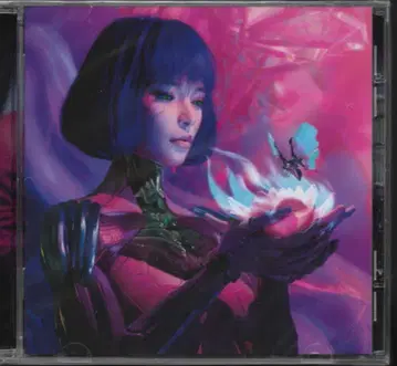 메탈코어 데스코어 Within destruction 세트 데스메탈