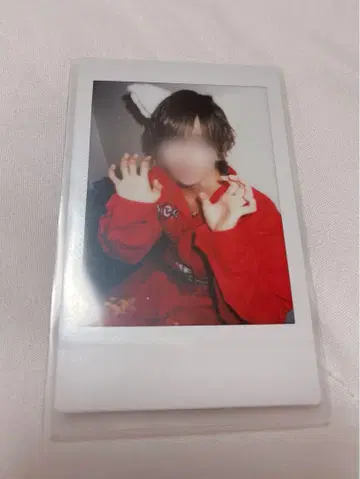 러브시크 사쿠라 폴라로이드