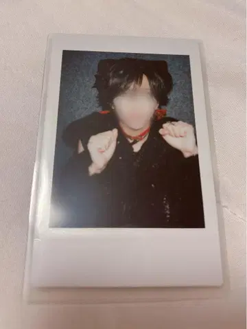 러브시크 사쿠라 폴라로이드