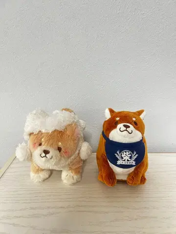 시바견 봉제 인형 2체 세트