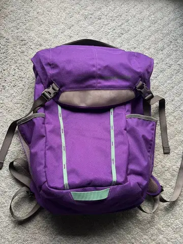 파타고니아 보라색 백팩 아웃도어 백팩