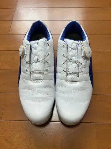 PUMA 골프화 다이얼식 화이트/블루
