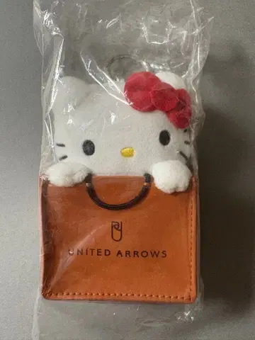 HELLO KITTY x UNITED ARROWS 참