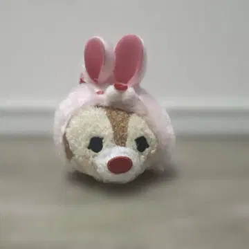 디즈니 썸썸 데일