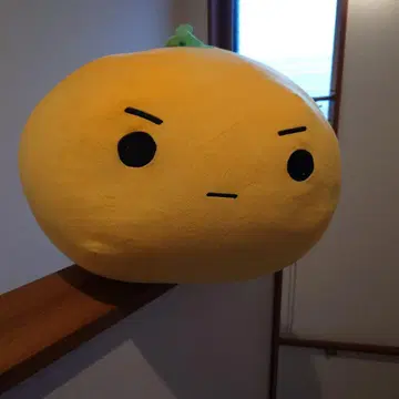 섬 비스킷 특별상