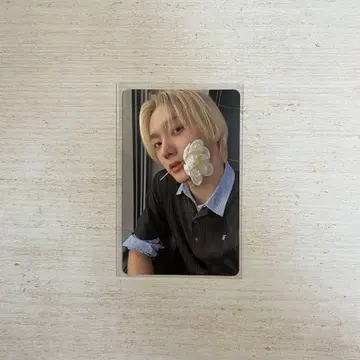 BOYNEXTDOOR 선호 The Action 트레이딩 카드 K-POP