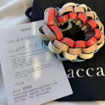 acca 루프 스크런치