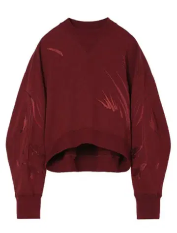 Floral Motif Embroidered Sweatshirts