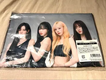 aespa 돔 공연 슬로우 타월