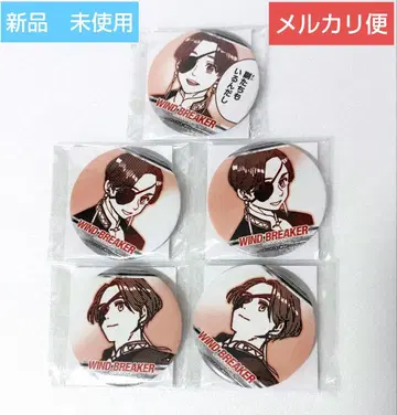 WIND BREAKER 윈브레 당첨 캔뱃지 소방준비 5개 세트