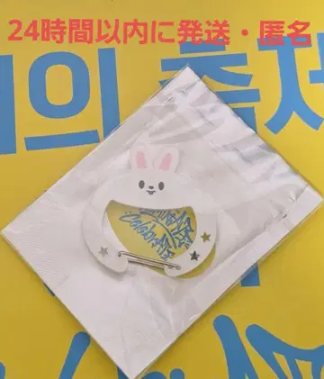 stray kids DominATE CelebrATE 앙콘 카라비너