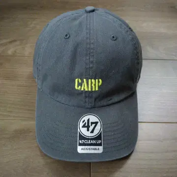 47 CLEAN UP 그레이 캡 CARP 자수