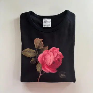 THE NATIONAL GALLERY 티셔츠 M 상의 긴팔