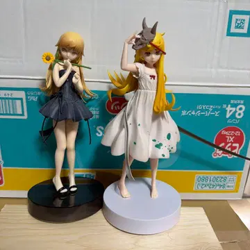 EXQ 바케모노가타리 오시노 시노부